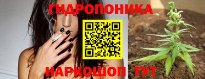 прущие крисы Кандалакша