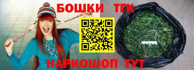 мдпв Камышлов