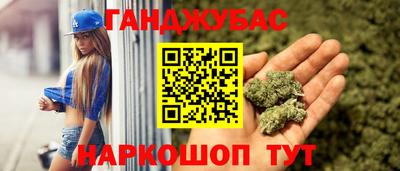 мдпв Камышлов