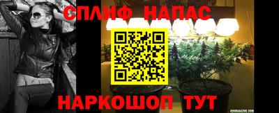 прущие крисы Кандалакша